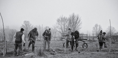 Illustration du contenu : Plantation de haies dans les exploitations ...